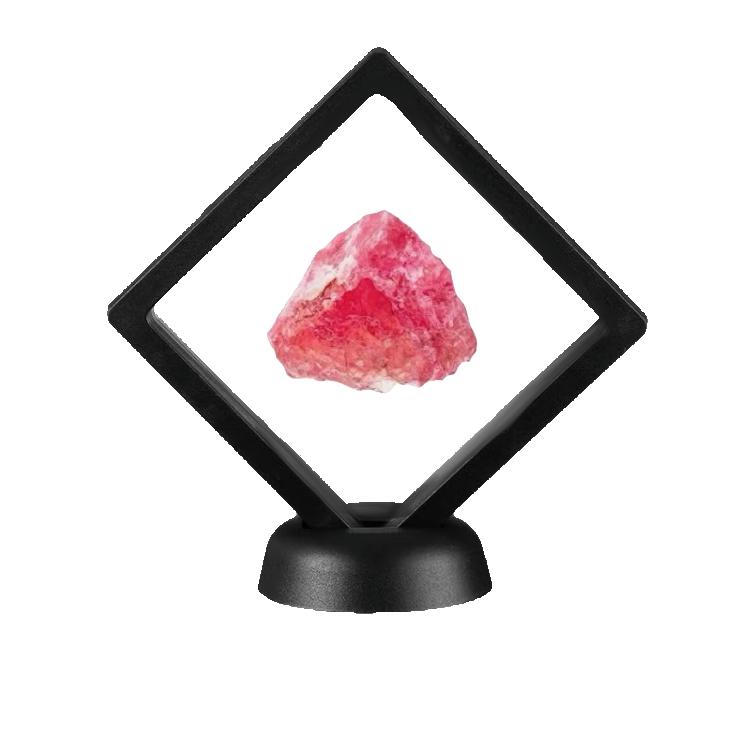 Floating Display, 3 1/2 inches square, stand included Prehistoric Online