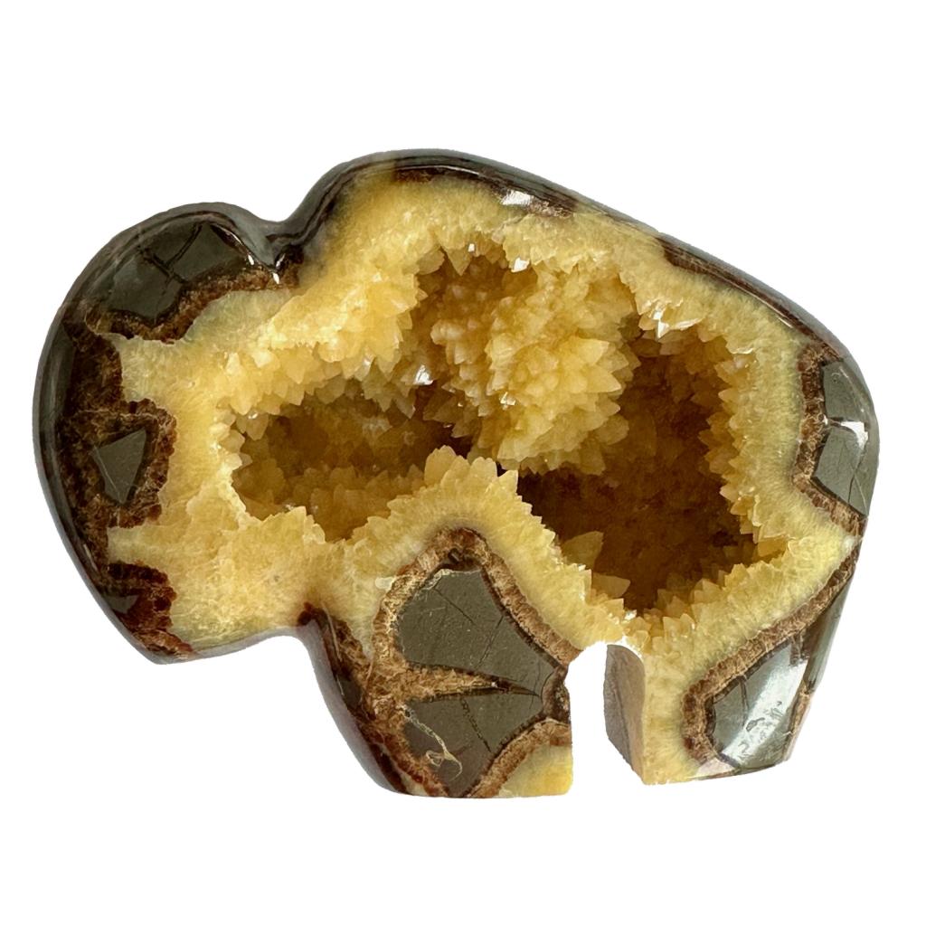 Septarian Slice &#8211;  Utah, natures abstract mineral