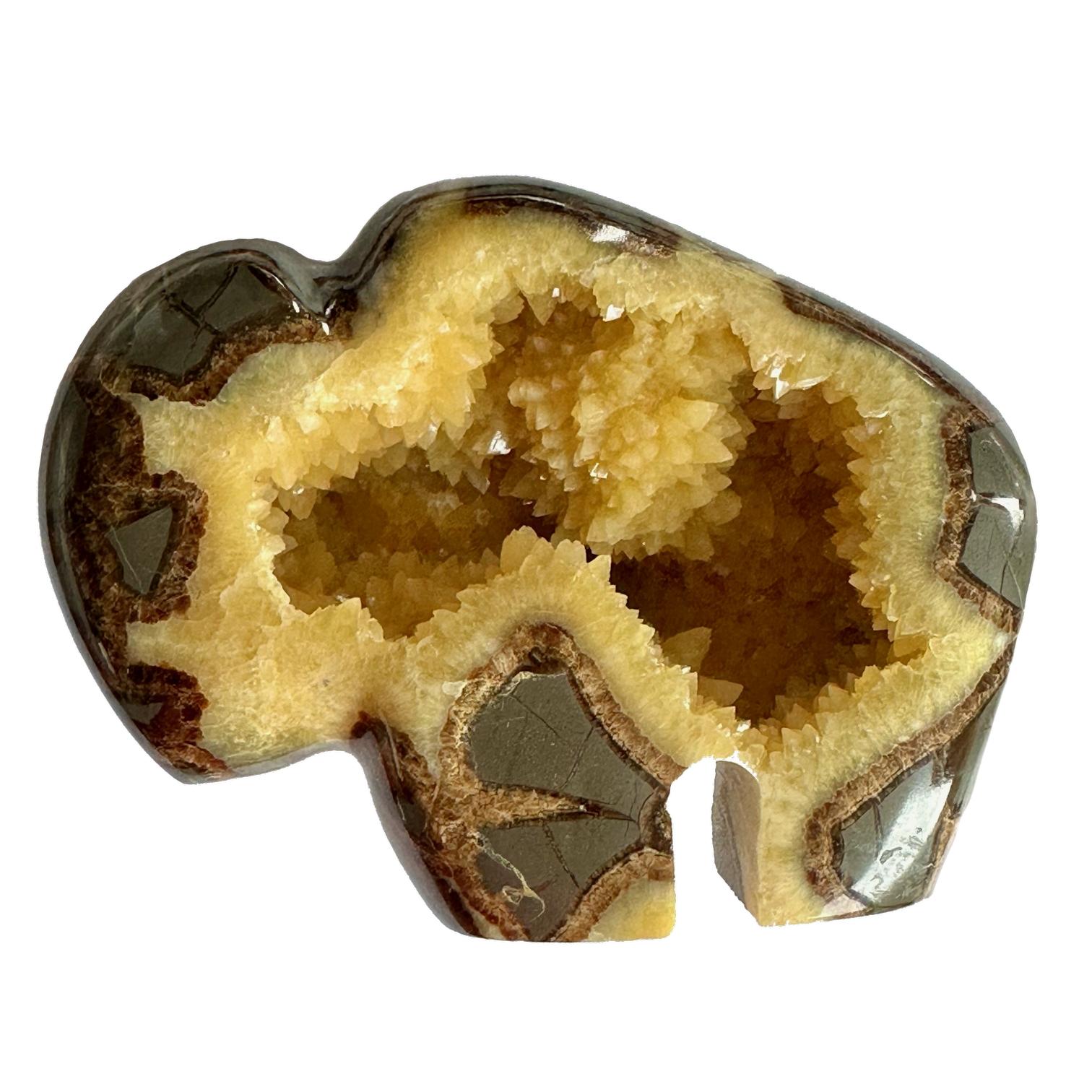Septarian Slice Utah, calcite and aragonite Prehistoric Online