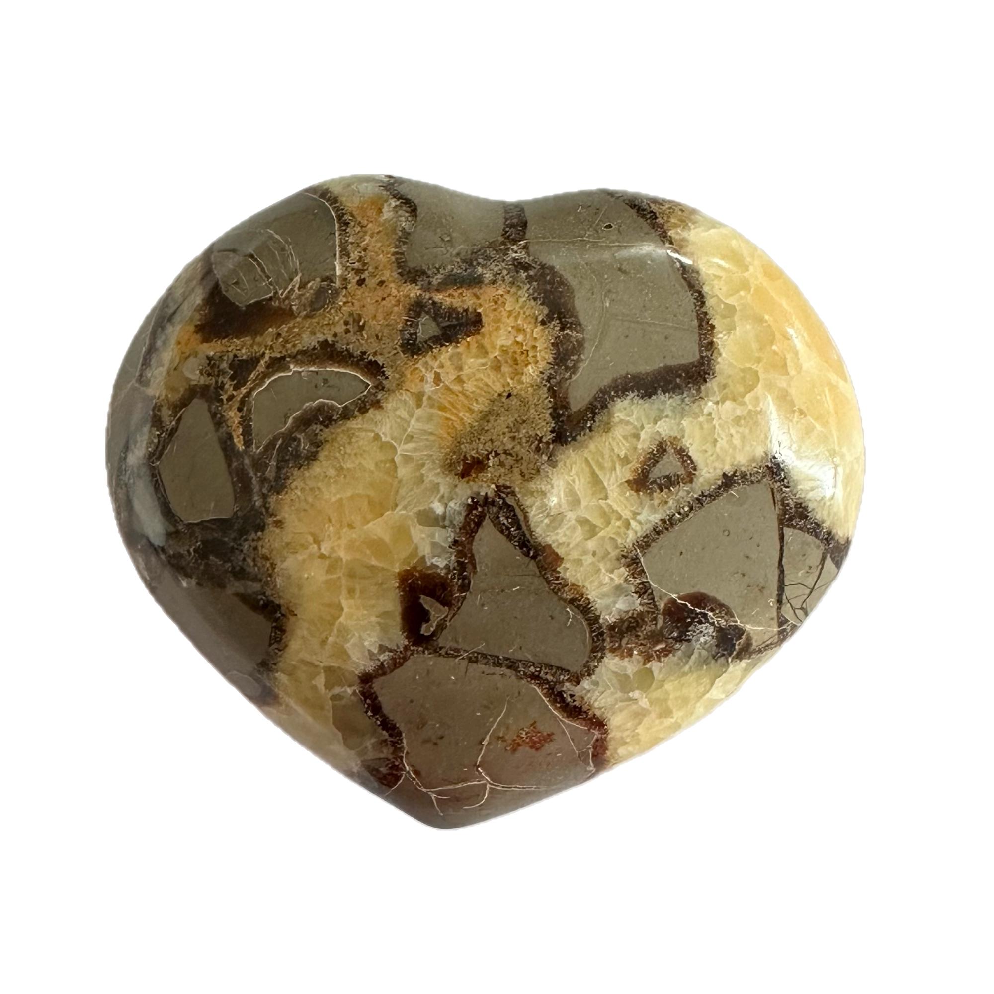 Septarian Heart- Delta Utah, Calcite and Aragonite beauty Prehistoric Online