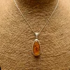 Amber Pendant Sterling Silver Prehistoric Online