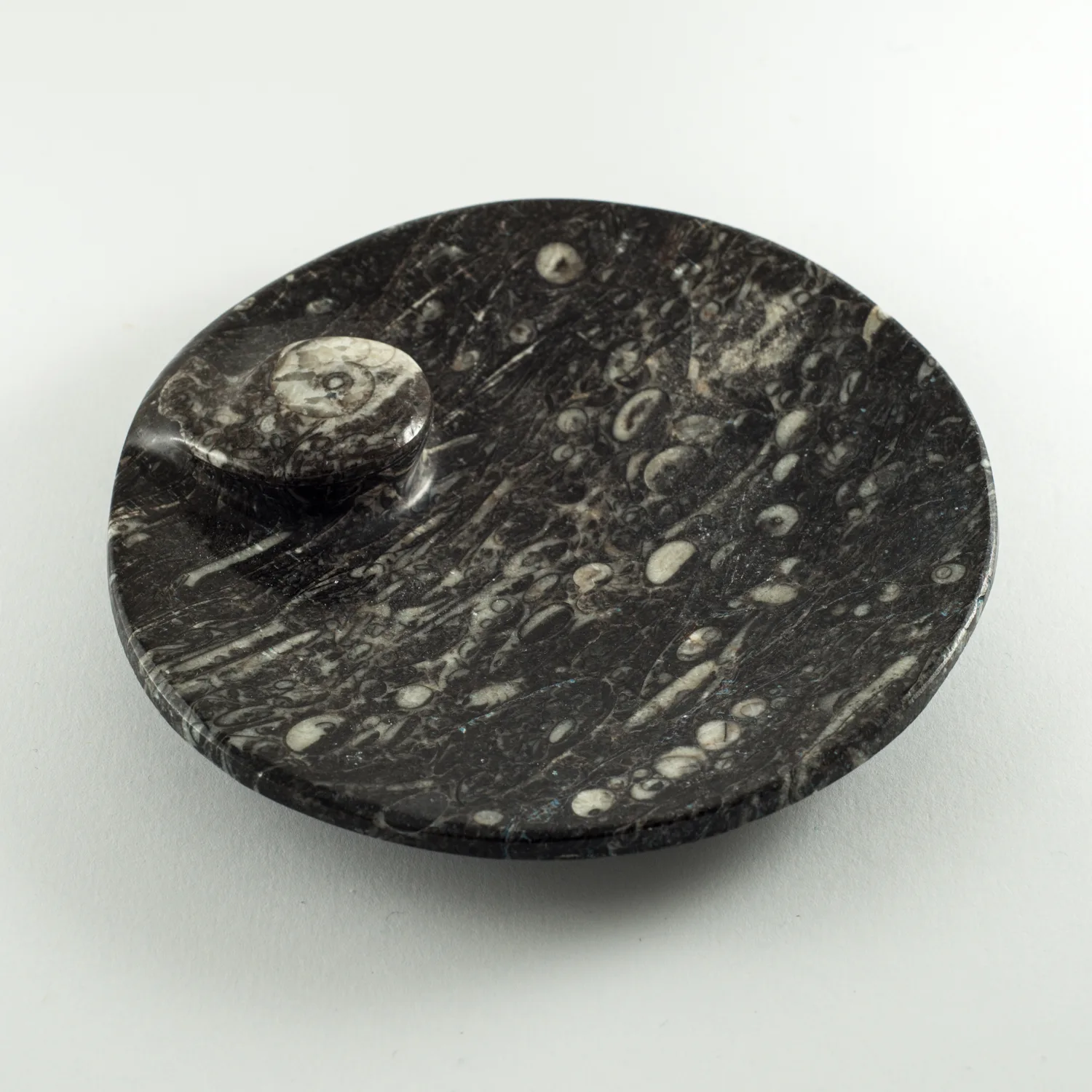 Goniatite Ammonite, Morocco, Decorative dish 4″ round Prehistoric Online