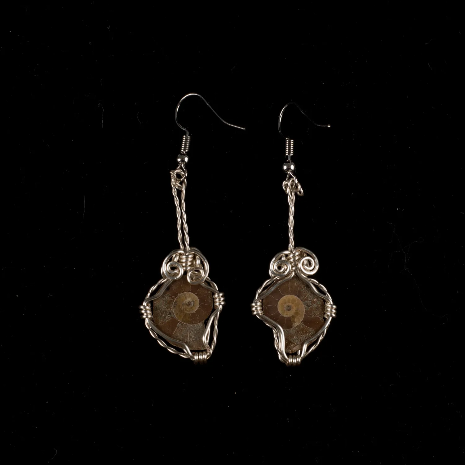 Ammonite Earrings, Madagascar  Ron Kless Original Prehistoric Online