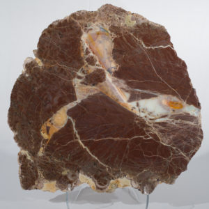Opal, Oregon Thunderegg   2 foot diameter Prehistoric Online