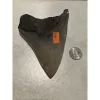 Megalodon Tooth, Georgia 5.00 inch Prehistoric Online