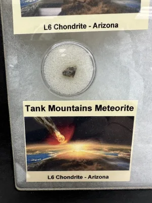 Collector Riker Box- Meteorites of the U.S. Prehistoric Online