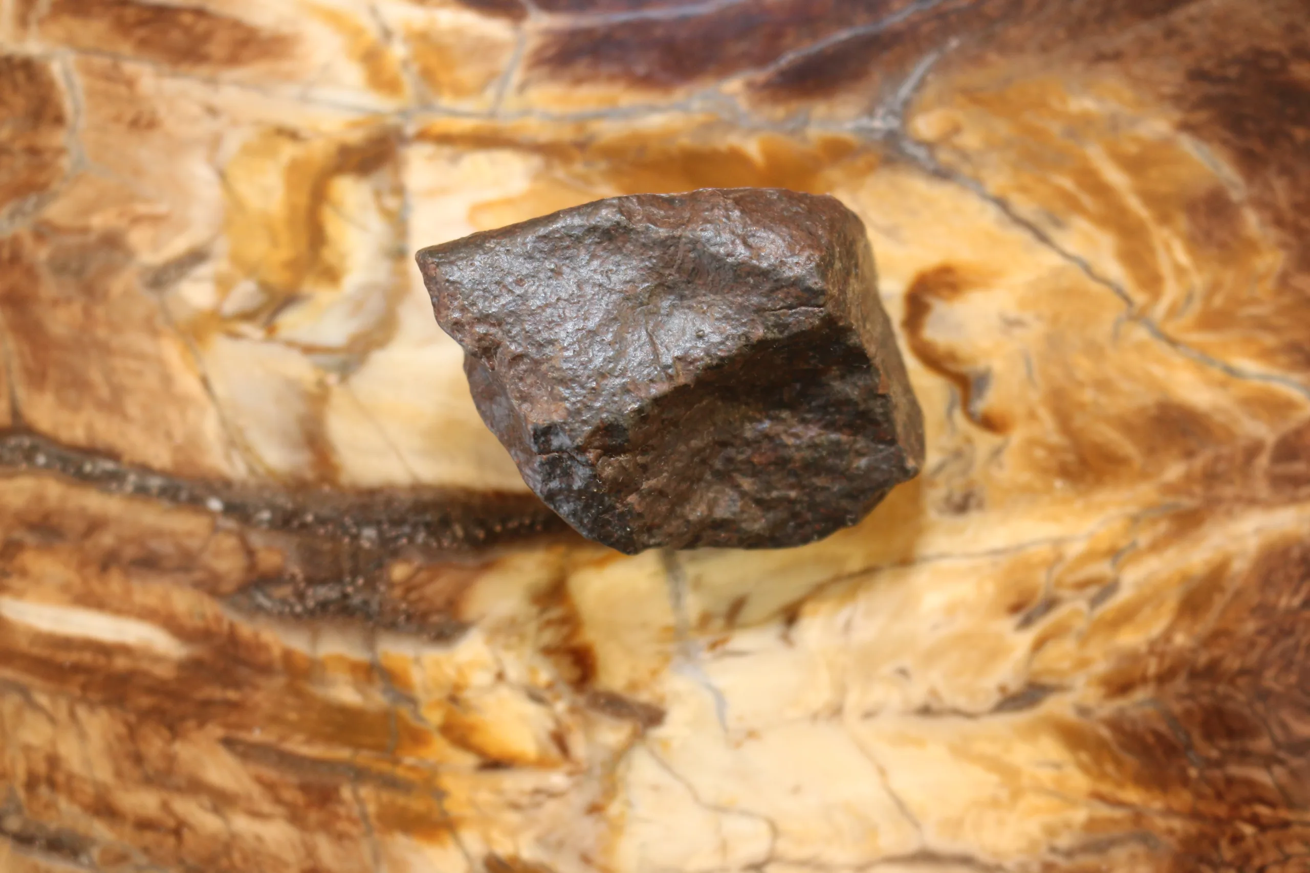 NWA Meteorite, Morocco,  Unclassified Find 2005 Prehistoric Online