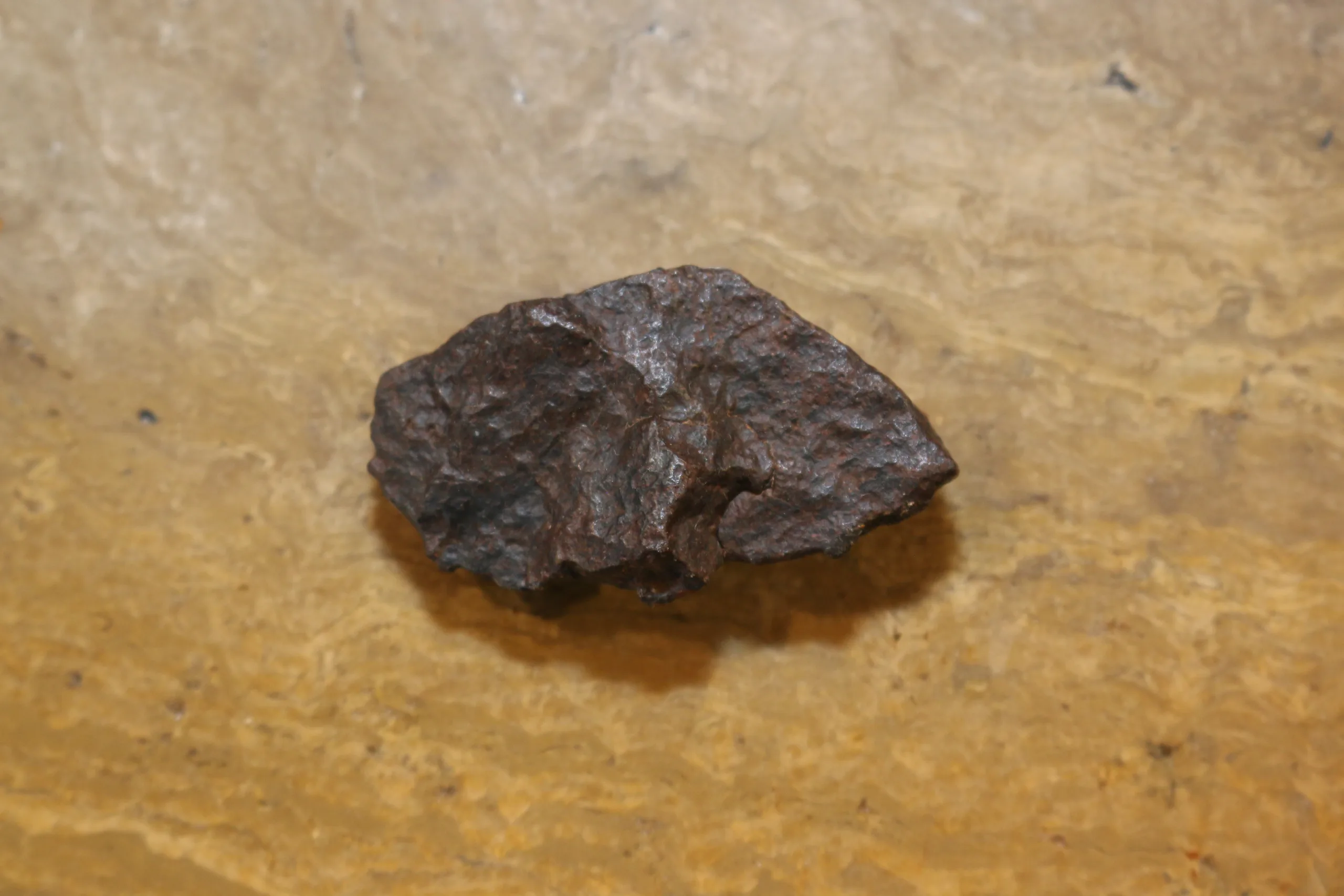 NWA Meteorite, Morocco   Unclassified Find 2005 Prehistoric Online