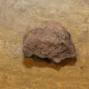 NWA Meteorite, Morocco, Unclassified Find 2005 Prehistoric Online
