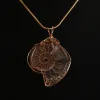 Ammonite, Madagascar  Ron Kless Original Prehistoric Online