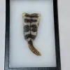 Rattlesnake skin with Rattle Very Large In Ryker Prehistoric Online