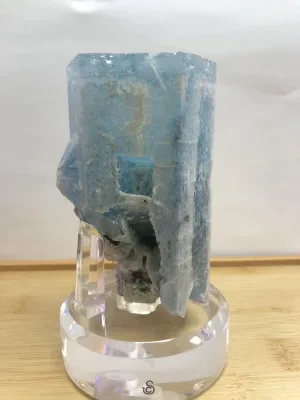 Aquamarine on custom Acrylic Prehistoric Online