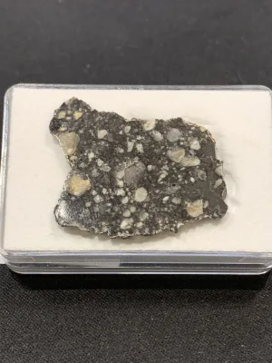 Lunar Meteorite, NWA 11428 IMCA registered Prehistoric Online