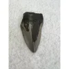 Megalodon Partial Tooth  South Carolina 3.78 inch Prehistoric Online