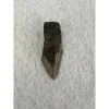 Megalodon Partial Tooth,  South Carolina, 2.69 inch Prehistoric Online