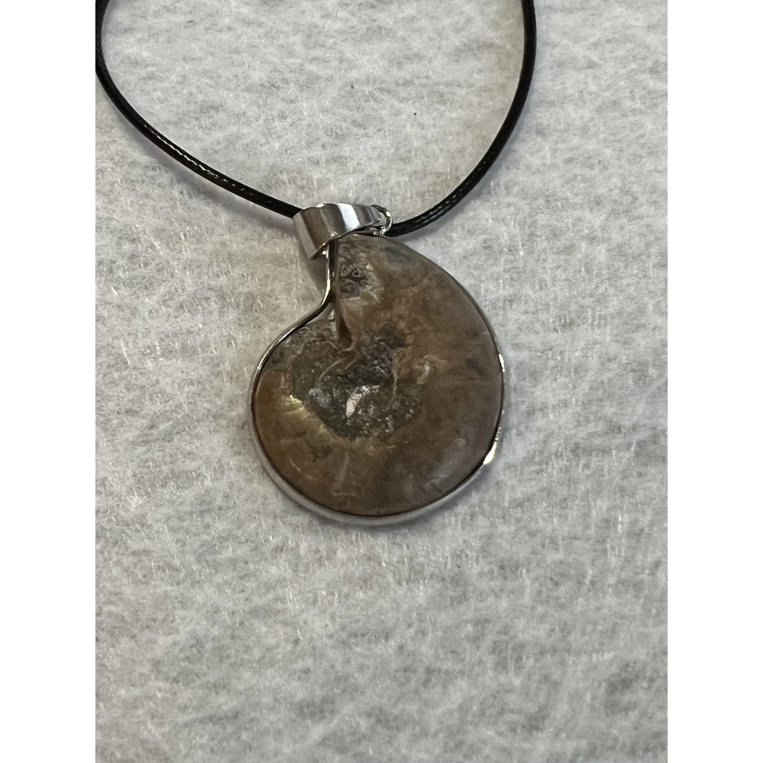Cleoniceras  Ammonite Pendant,  18″ leather cord Prehistoric Online