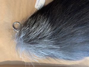 Silver Fox tail, lobster claw attachment Prehistoric Online