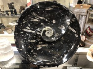 Ammonite, Orthoceras Morocco   Decorative dish 11 1/2″ round Prehistoric Online