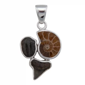 Fossil pendant, Shark tooth, trilobite, and ammonite – Sterling Prehistoric Online