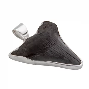 Sterling Silver Fossil Shark Tooth