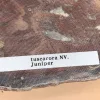 Petrified wood slice Juniper from Nevada Prehistoric Online