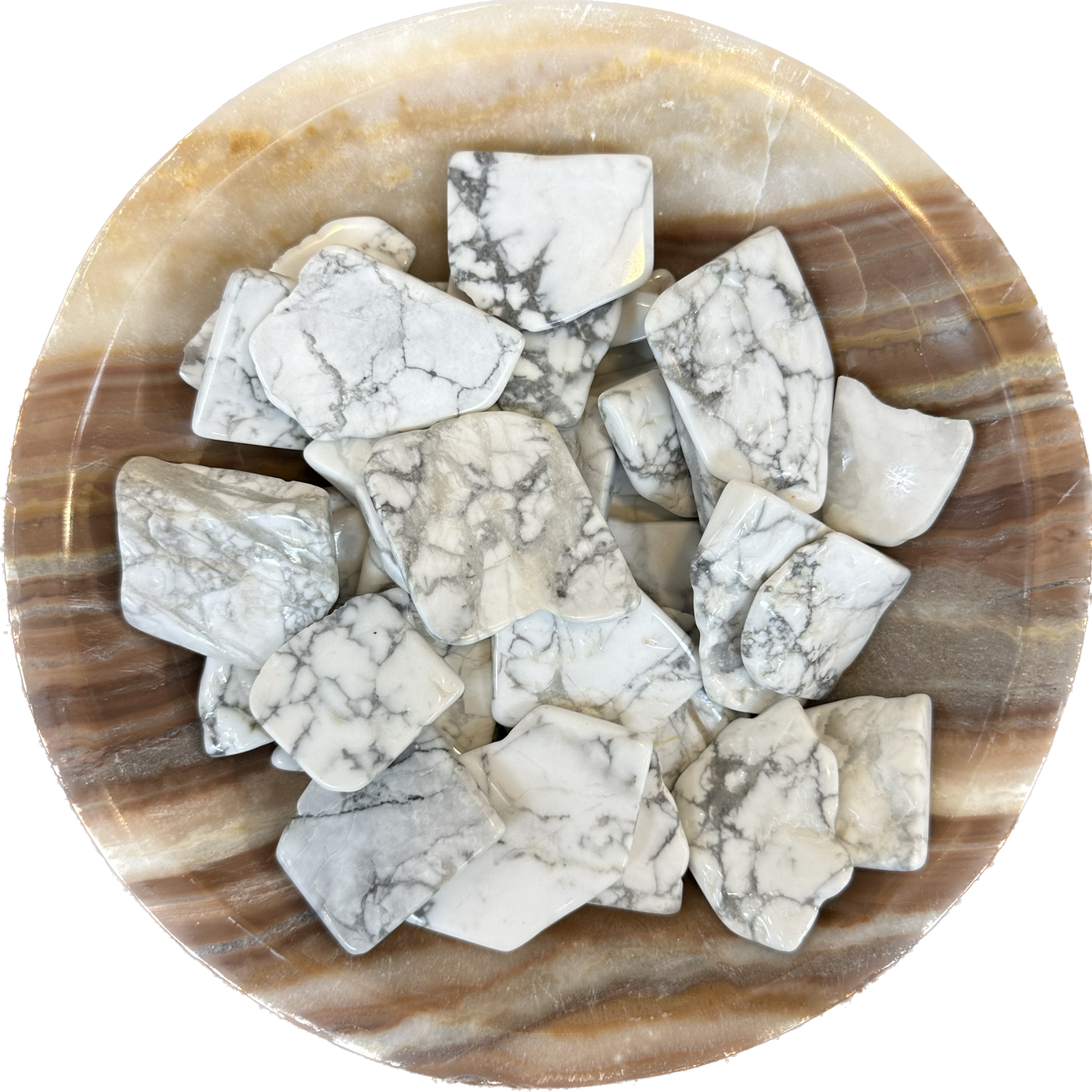 This is a picture of a group of howlite slabs displayed in a bowl made out of aragonite.