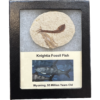 This is a picture of a Knightea fossil fish displayed in a high-quality Riker box.