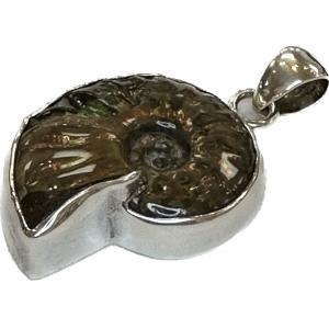 Ammonite Pendant-Madagascar- Sterling .950 Prehistoric Online