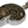 Ammonite Pendant-Madagascar- Sterling .950 Prehistoric Online