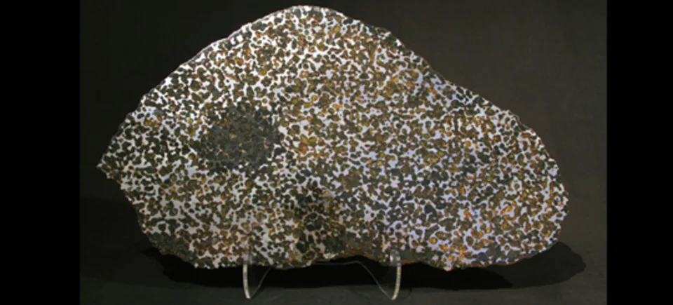 pallasite meteorite copy20150514 8000 1yp3ljq x435 jpg